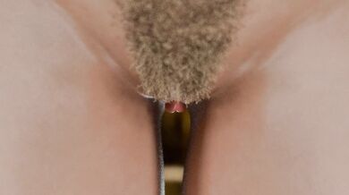 Would You Love This Cooch?