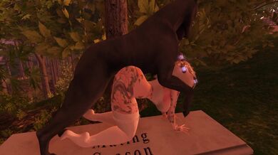 'Cumming in the wild, VIP treatment for canines'