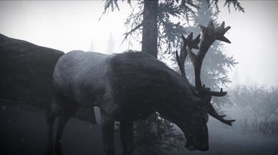 "[Re-Edit] Huntress & Wolf (chrstian)"