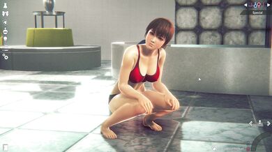 'Honey Selects 2 Kasumi (2)', or simply, 'Honey Selects 2: Kasumi'.