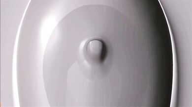 "The Primal Giantess and Her Stick-Loving Crew"