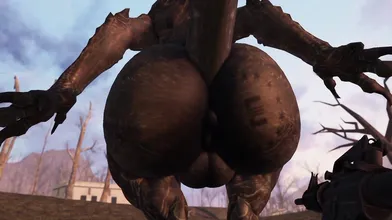 "I'm the hottest femboy you'll ever see, with a giant deathclaw cock that will make you beg for more!"