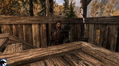 Woman meets a big wolf in the woods, and they end up having passionate sex on the forest floor.