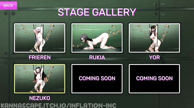 "Pumping Up the Nezuko: Inflating an Incorporated Company's Assets"