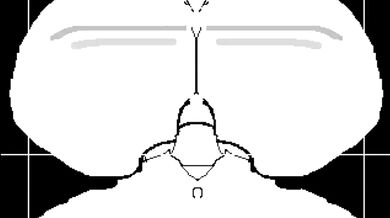 'The Hentai Express'