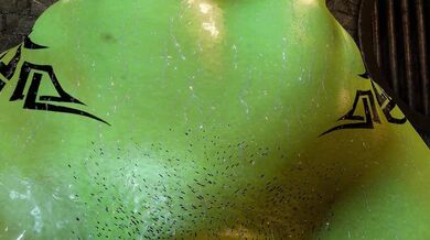 The Captor of the Vixen (Sexy, Sneaky and Seductive)