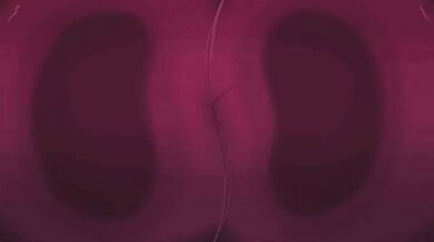 'FNIA: A Hentai Jump Scare Fest - All the Scares from FNA1, 2, 3, Remake, After Hours & RX!'