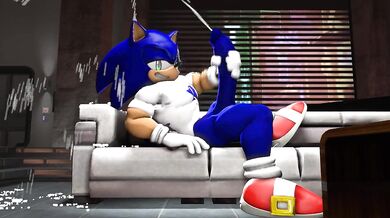 'Inside the Sonic Hedgehog Masterbates'