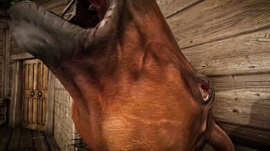 "One horse, two girls: a forbidden love story."