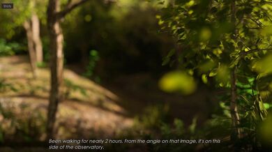 "Branded Slaves: The Brothel Of Orgies, Mi-do Gets Fucked By All "