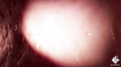 "Being swallowed whole by a giant horse while being voraciously eaten out from behind, in first person perspective."