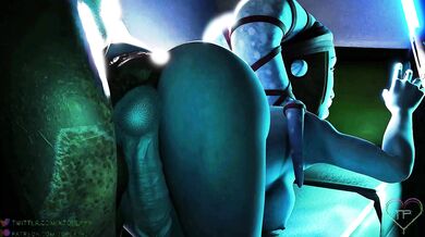 'Aayla Secura's Standard Jedi Training'