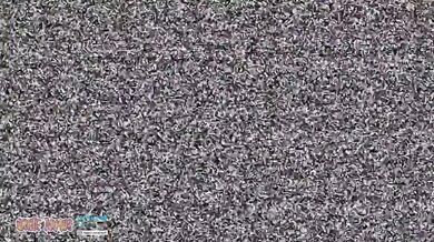 'The White Armus Bandle Gunner Training of Tristana'