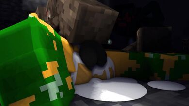 "The Bold and the Beautiful - A Tale of Two Spiders"