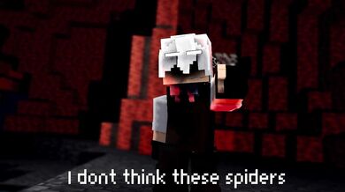 "The Bold and the Beautiful - A Tale of Two Spiders"