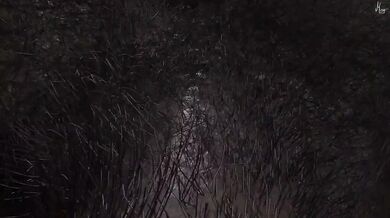 "Satisfying Your Wife's Desires: A Day in the Life of a Cuckold"