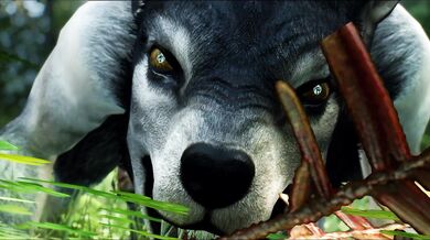 "The Orc and the Futa Werewolf: An Erotic Tale of Bestiality and Interspecies Romance"