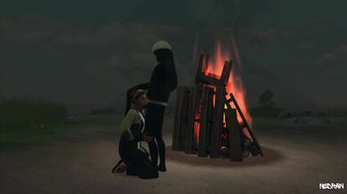 'Melted by the fireplace, she gets intimate with her lover'.