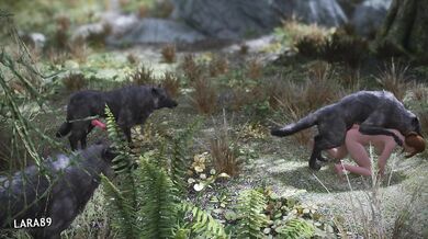 A young female joins a pack of wild dogs and proceeds to engage in sexual activities with each member, one by one.