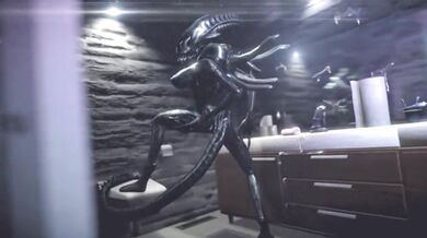 "Monster Robot Love: Hentai Monster Machine Video"