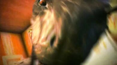 "Monster Robot Love: Hentai Monster Machine Video"