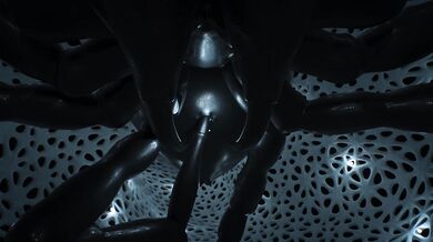 'Thrusting in the Deep Darkness: The Creepy Spider's Seduction of a Neglected Woman'