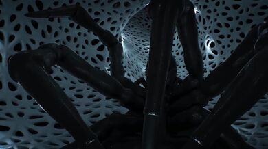 'Thrusting in the Deep Darkness: The Creepy Spider's Seduction of a Neglected Woman'