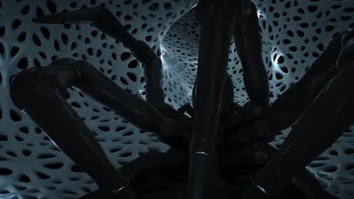 'Thrusting in the Deep Darkness: The Creepy Spider's Seduction of a Neglected Woman'