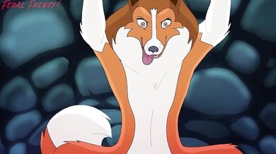 'Little_Lassie's_big_playtime'