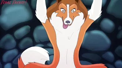 Little_Lassie's_big_playtime