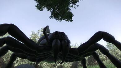 "The Mistress of the Web: A Neglected Woman's Fetish Fantasy"