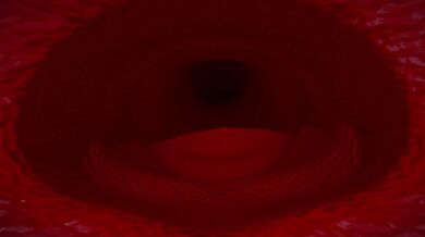 "The Mistress of the Web: A Neglected Woman's Fetish Fantasy"