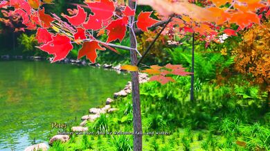 "Pause and Appreciate the Renders: A DIK* Tale Chapter Eighteen Point Thirteen"