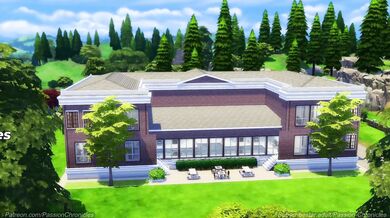 "Beneath the Classroom Desk: The Wang Family Chronicles, Episode One"