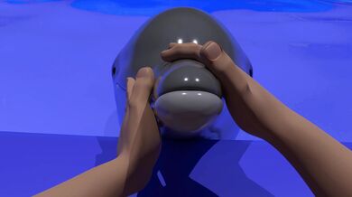 "The Neglected Maiden: A Tale of Bestiality in 3D"