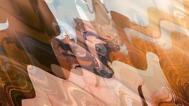 "Busty MILF and Furina - Tomboy HMV CROSSMIX"