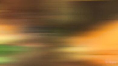 "Forest of Lustful Trees, Unleashing the Beast Within!"