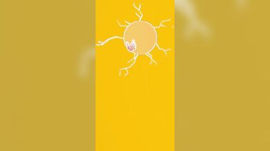 "Infiltrating the Rabbit Hole: A KemKem MMD Adventure with Diamond and Bare Legs"