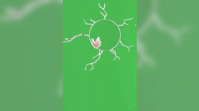 'The Rabbit Hole Club: KemKem's MMD Adventure with Bare Legs'