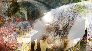 'Futa-sex Orc with a Deer'