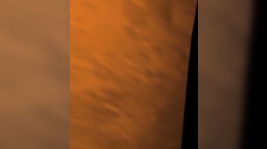 "Unbridled Desire: Nika Sharkeh's Passionate Kiss"