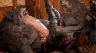 "Father and Son Werewolves - A Tale of Two Shifters"