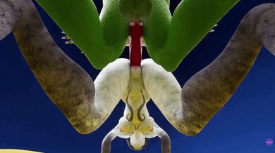 'Kairi's On It! (Vanimate App)'