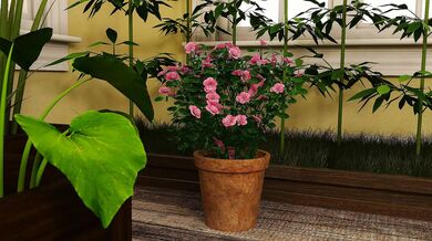 'Behind the Scenes: Chapter 7.10. Taking Care of a Man's Dick Feeds Him for a Day'