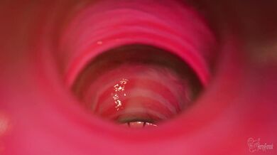 'The Forbidden Forest - The Horny Witches'