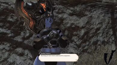 '"The Amalj'aa Alliance"'