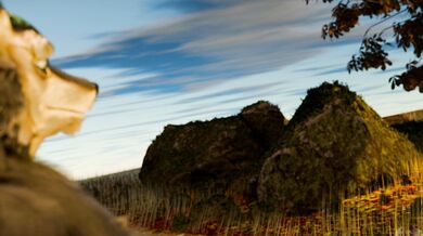 "Unleashing the Goddess Within - A Journey of Self-Discovery and Spiritual Guidance through BDSM"