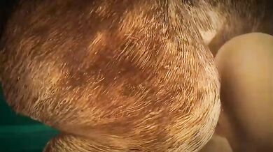 Rewritten as: "One Doggy Style Compilation"