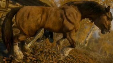 "Licking, Sucking and Riding: The Erotic Adventures of a Skyrim Horse Compilation"