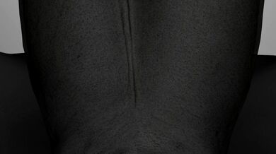 'Hardcore Fucking in the Kitchen - Upside Down Version'